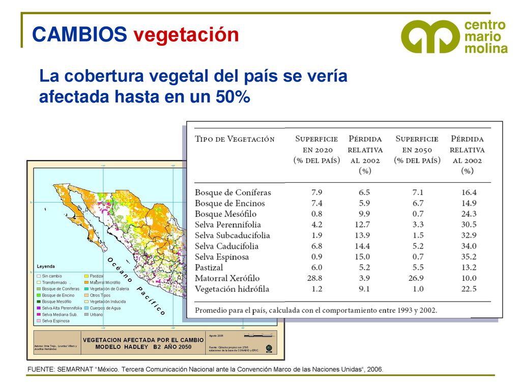 CAMBIOS vegetación La cobertura vegetal del país se vería afectada hasta en un 50%