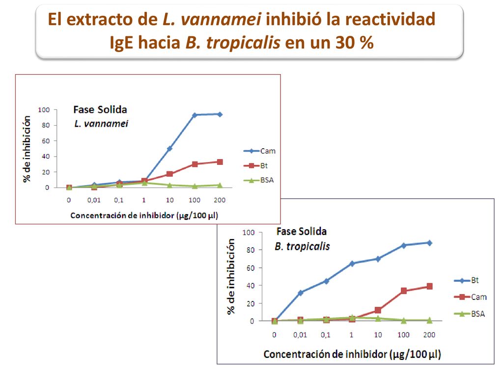 El extracto de L. vannamei inhibió la reactividad IgE hacia B