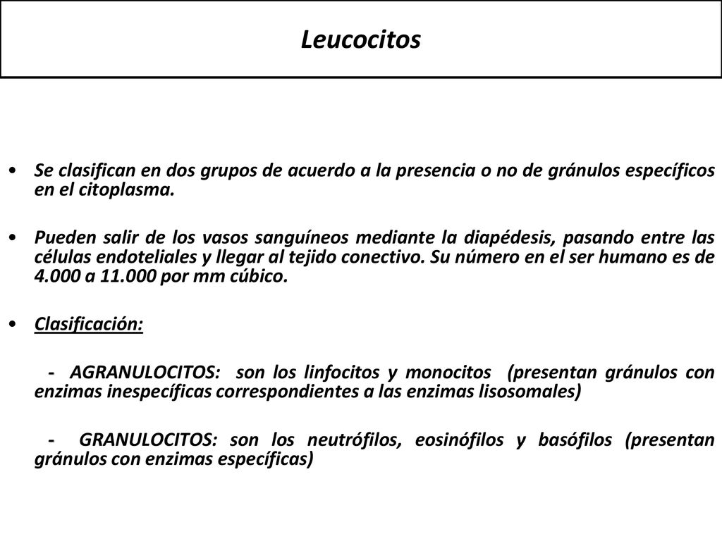 Leucocitos Se clasifican en dos grupos de acuerdo a la presencia o no de gránulos específicos en el citoplasma.