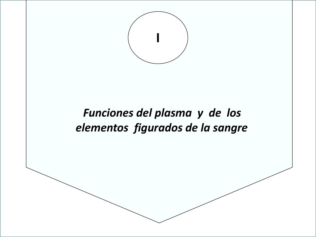 Funciones del plasma y de los elementos figurados de la sangre