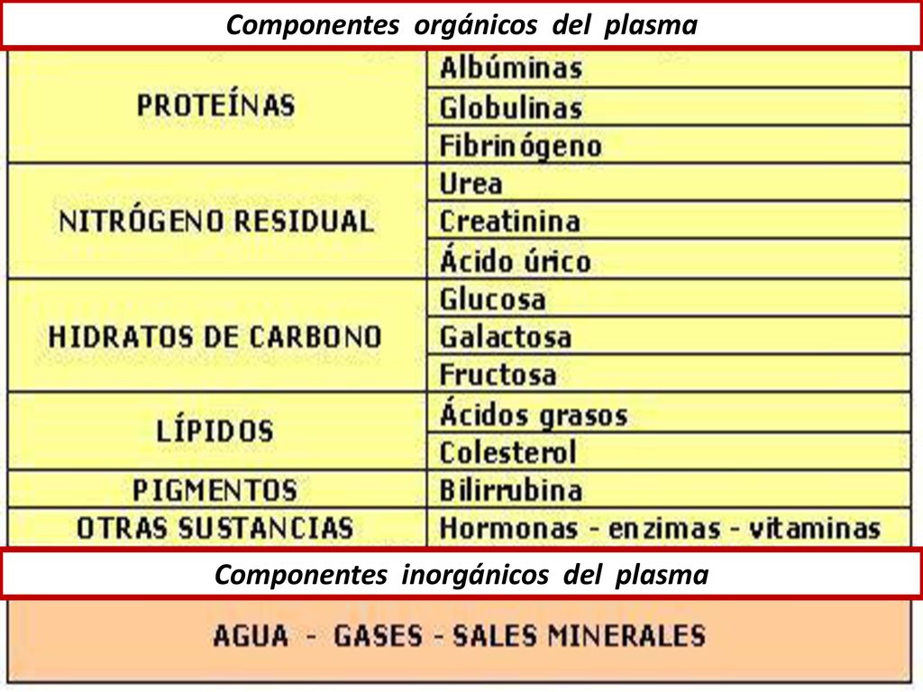 Componentes orgánicos del plasma Componentes inorgánicos del plasma