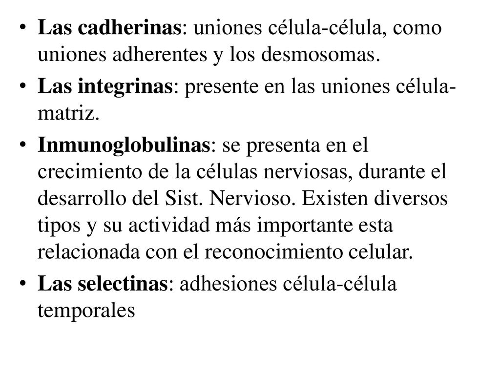 Las cadherinas: uniones célula-célula, como uniones adherentes y los desmosomas.