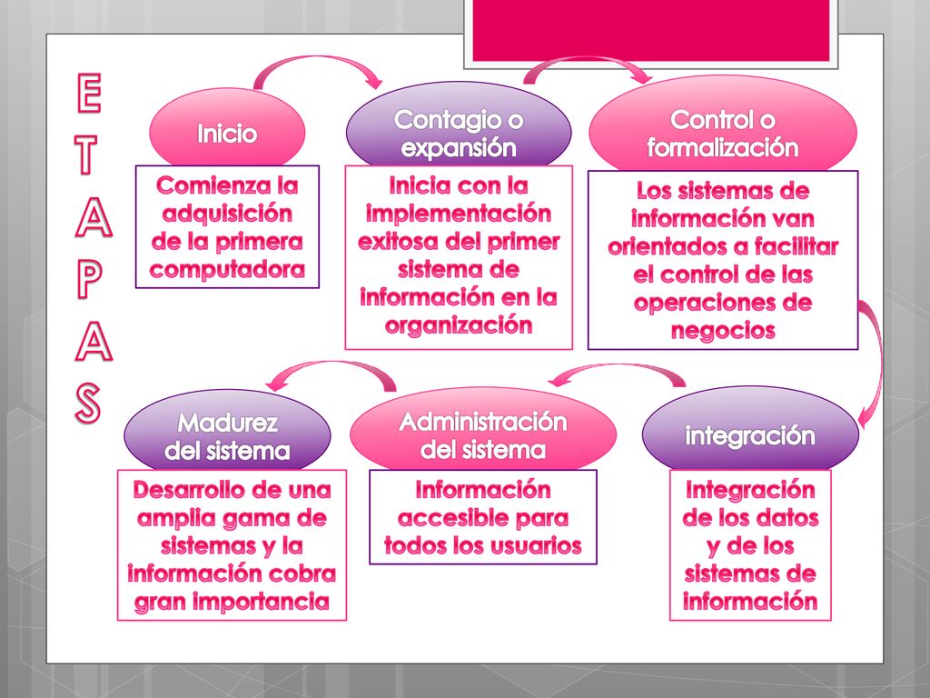 E T A P S Control o formalización Contagio o expansión Inicio