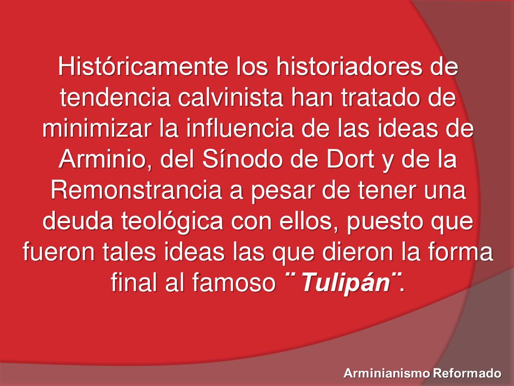Históricamente los historiadores de tendencia calvinista han tratado de minimizar la influencia de las ideas de Arminio, del Sínodo de Dort y de la Remonstrancia a pesar de tener una deuda teológica con ellos, puesto que fueron tales ideas las que dieron la forma final al famoso ¨ Tulipán¨.