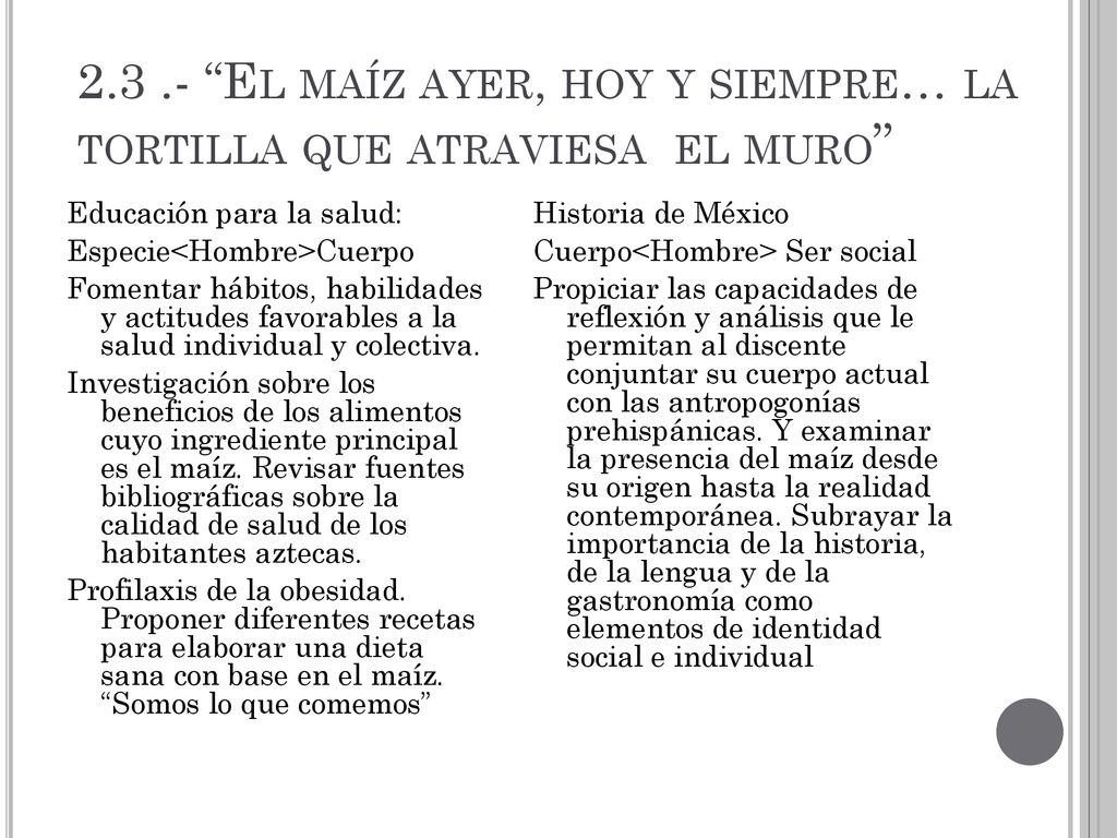 El maíz ayer, hoy y siempre… la tortilla que atraviesa el muro