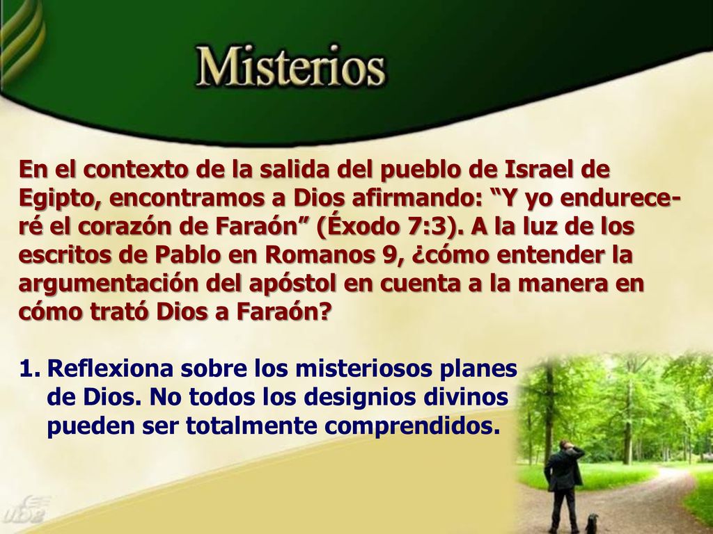 En el contexto de la salida del pueblo de Israel de Egipto, encontramos a Dios afirmando: Y yo endurece-ré el corazón de Faraón (Éxodo 7:3). A la luz de los escritos de Pablo en Romanos 9, ¿cómo entender la argumentación del apóstol en cuenta a la manera en cómo trató Dios a Faraón