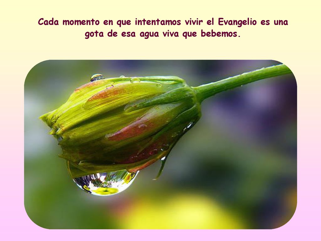 Cada momento en que intentamos vivir el Evangelio es una gota de esa agua viva que bebemos.