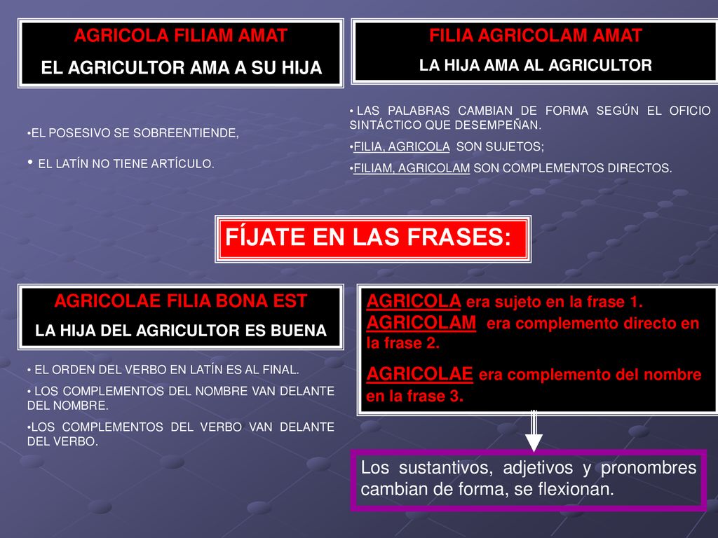 FÍJATE EN LAS FRASES: AGRICOLA FILIAM AMAT EL AGRICULTOR AMA A SU HIJA