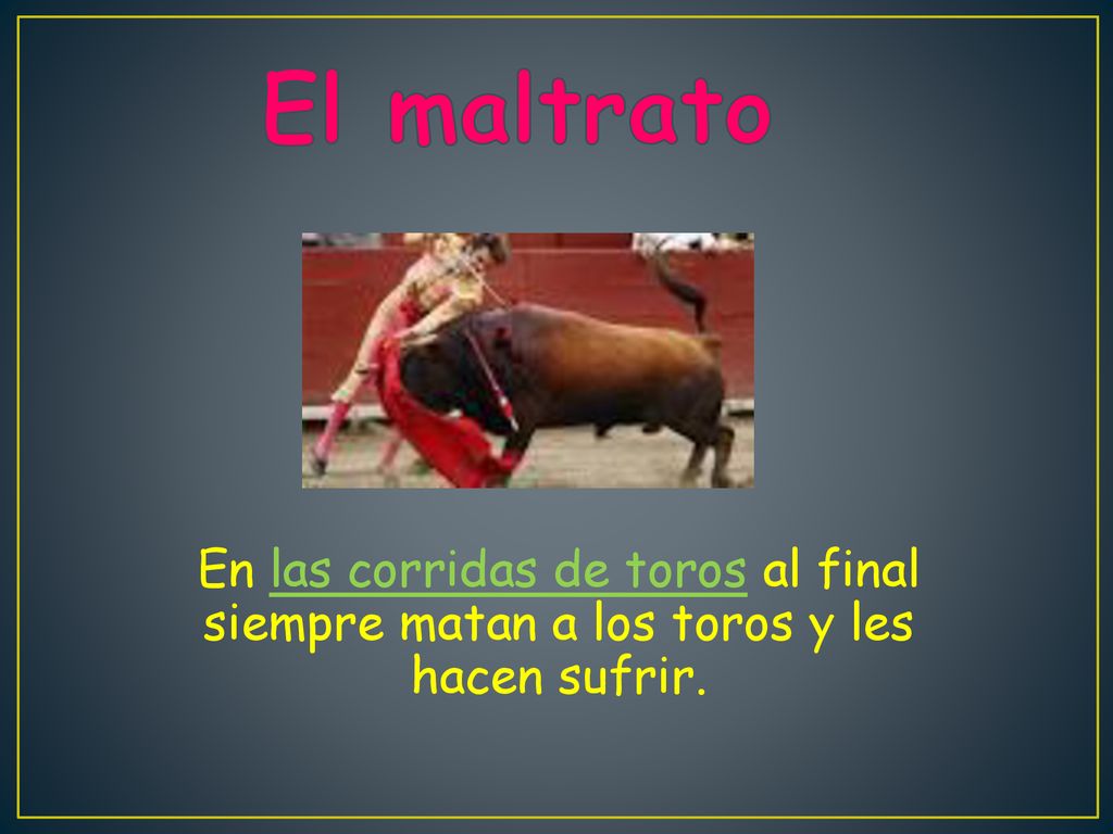 El maltrato En las corridas de toros al final siempre matan a los toros y les hacen sufrir.