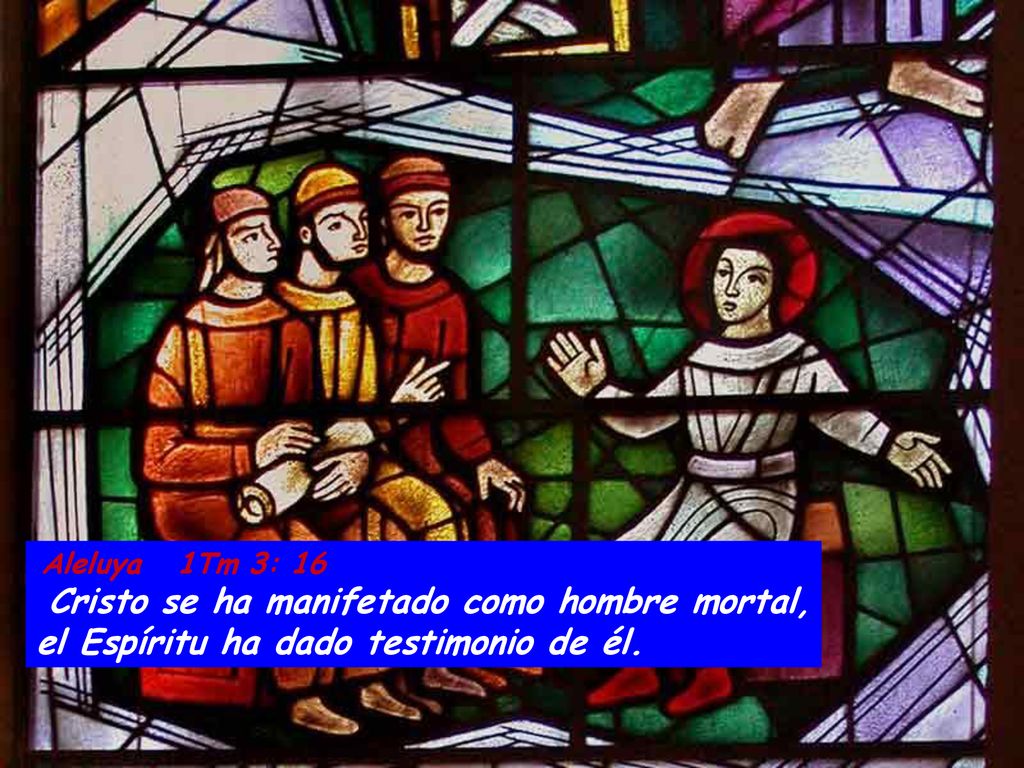 Aleluya 1Tm 3: 16 Cristo se ha manifetado como hombre mortal, el Espíritu ha dado testimonio de él.