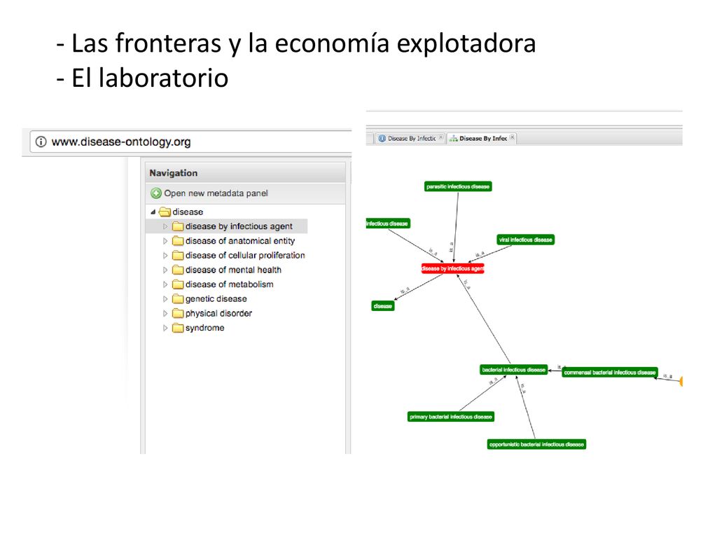 - Las fronteras y la economía explotadora - El laboratorio