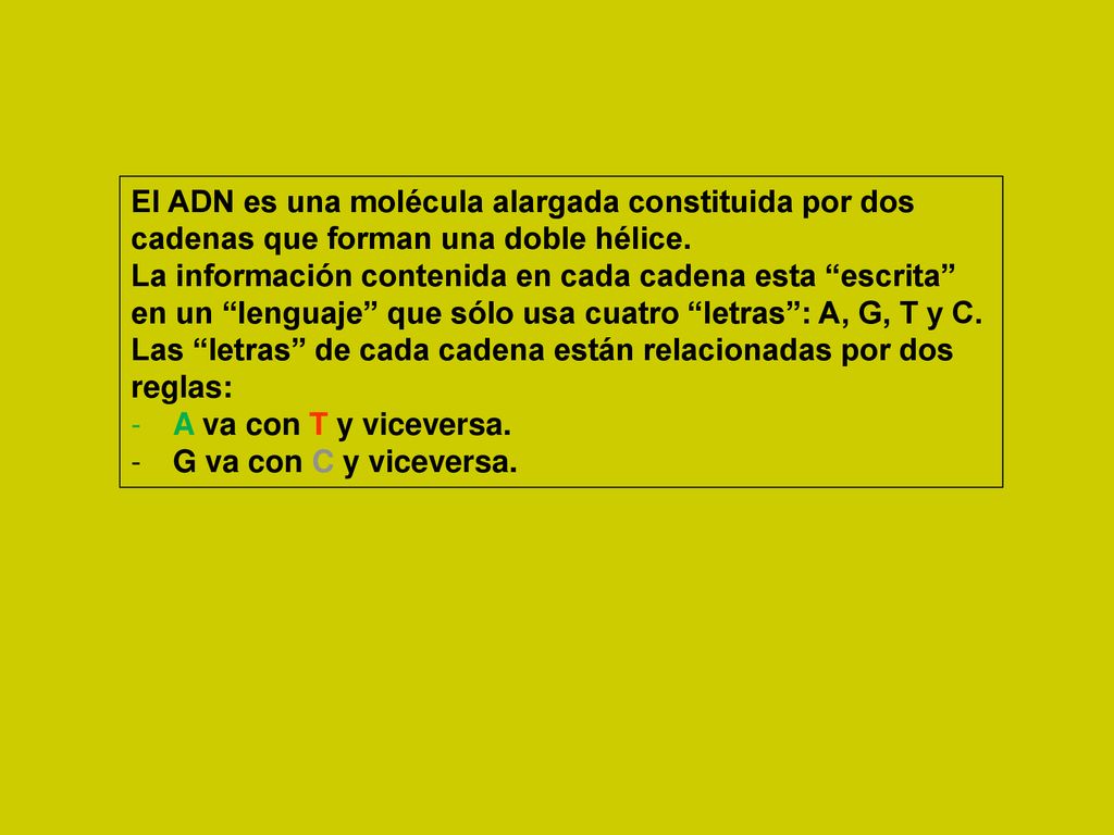 El ADN es una molécula alargada constituida por dos