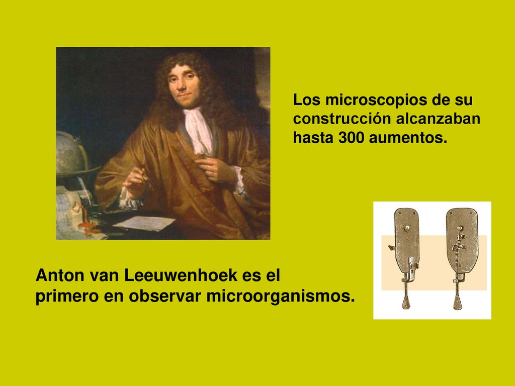 Anton van Leeuwenhoek es el primero en observar microorganismos.