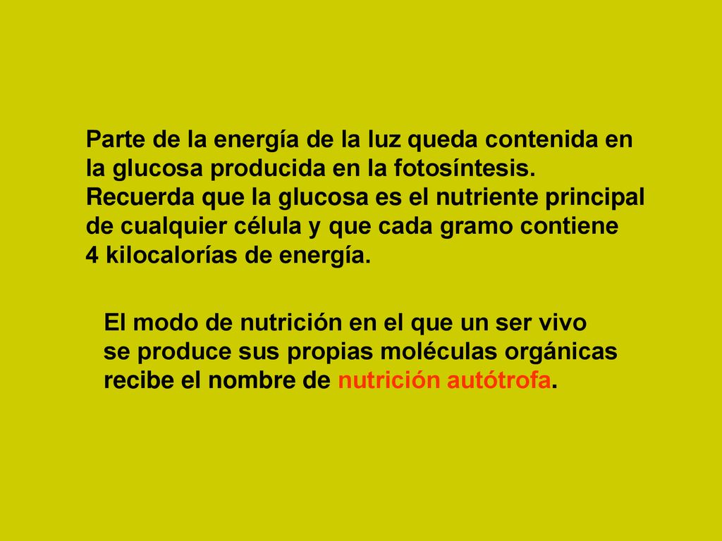 Parte de la energía de la luz queda contenida en