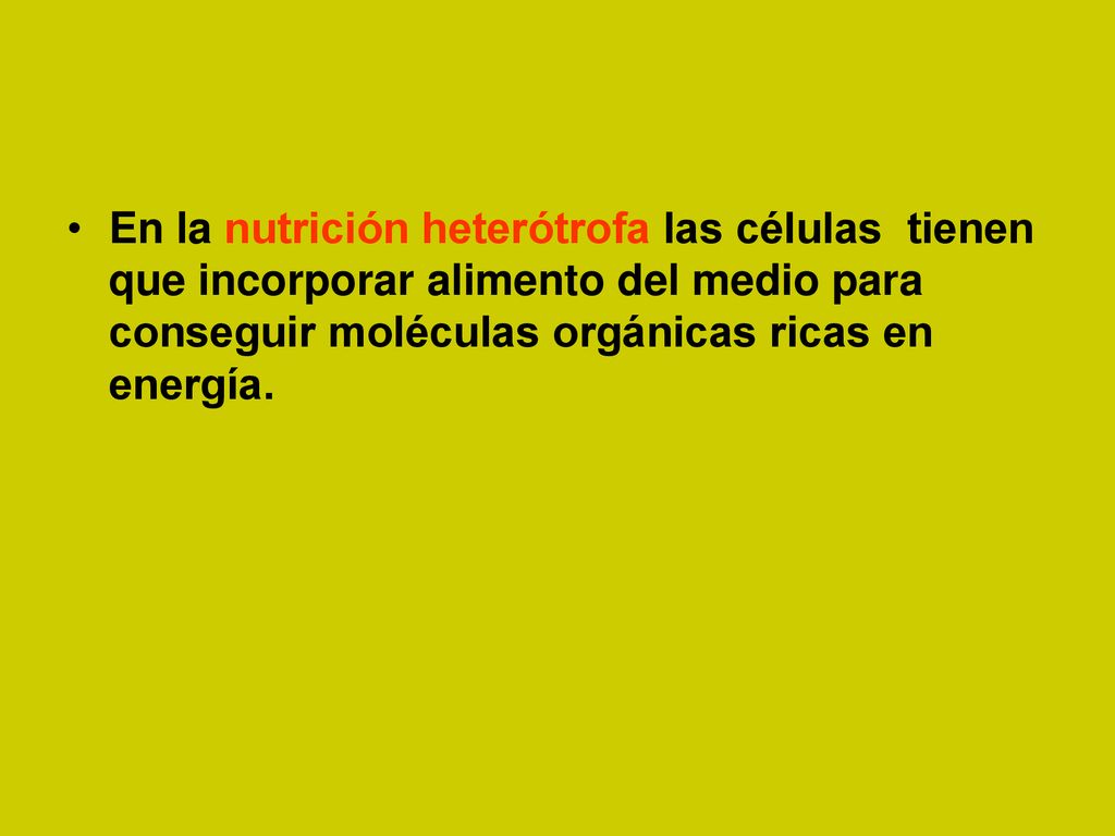En la nutrición heterótrofa las células tienen que incorporar alimento del medio para conseguir moléculas orgánicas ricas en energía.