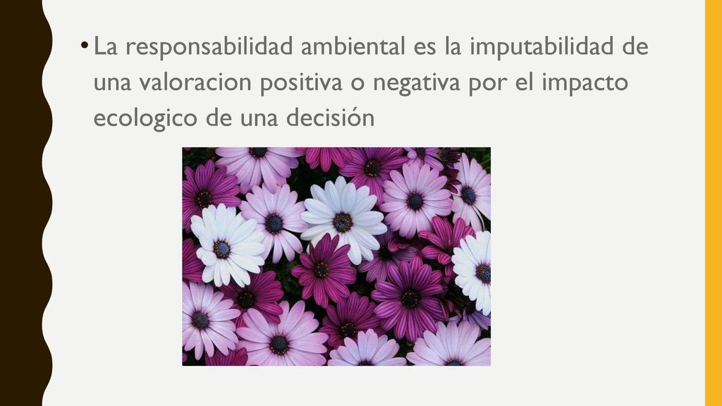 La responsabilidad ambiental es la imputabilidad de una valoracion positiva o negativa por el impacto ecologico de una decisión