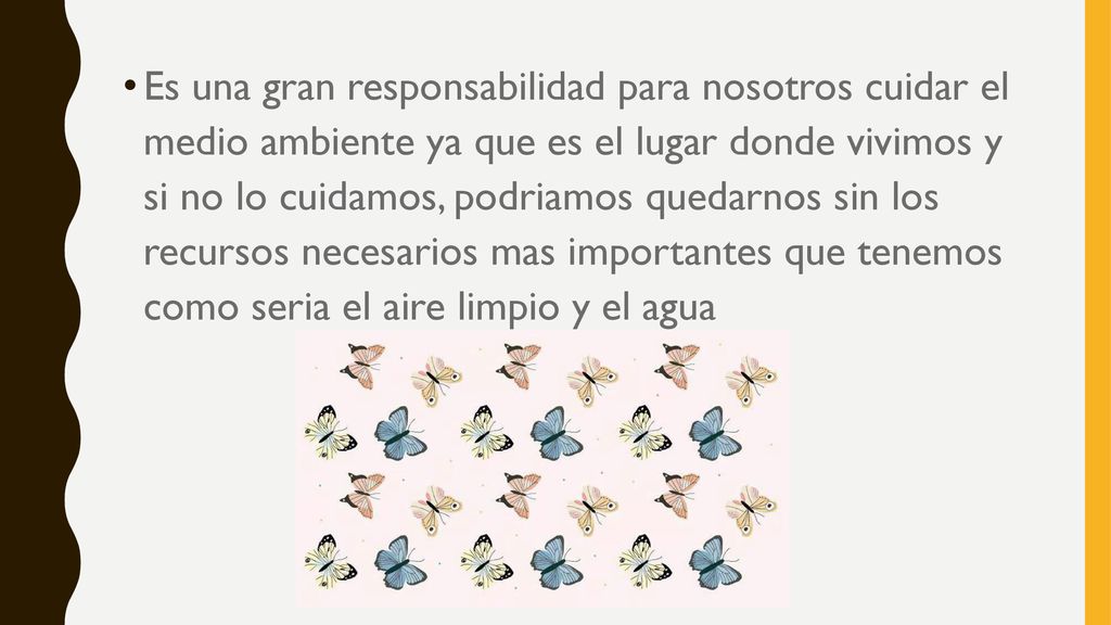 Es una gran responsabilidad para nosotros cuidar el medio ambiente ya que es el lugar donde vivimos y si no lo cuidamos, podriamos quedarnos sin los recursos necesarios mas importantes que tenemos como seria el aire limpio y el agua
