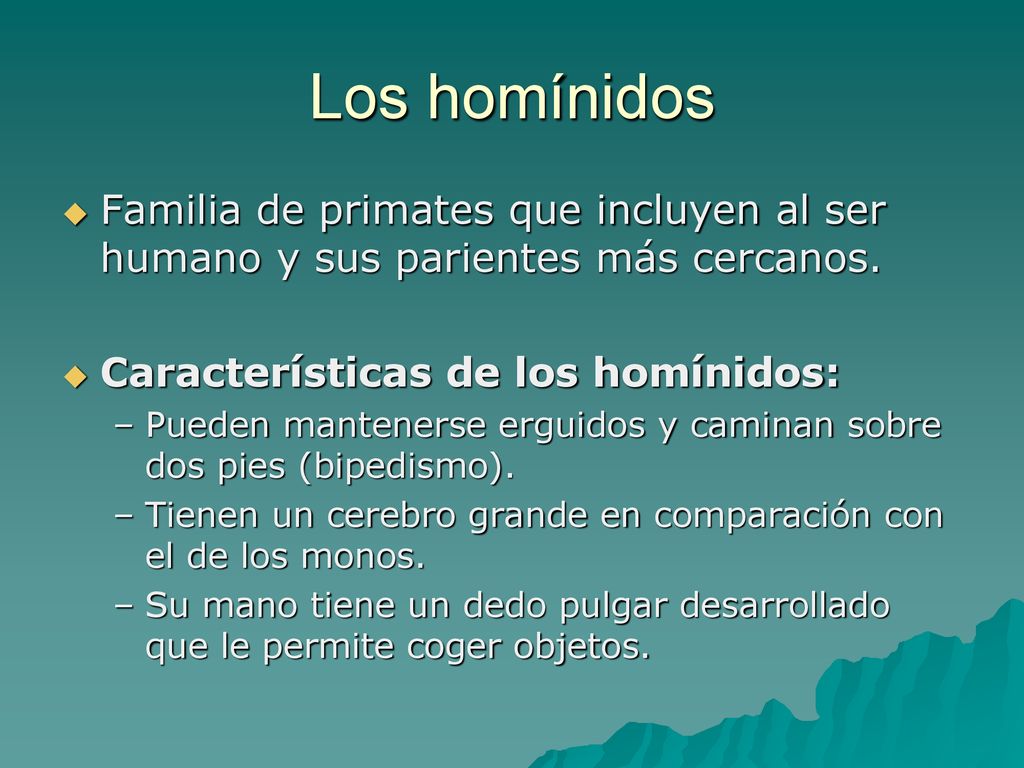 Los homínidos Familia de primates que incluyen al ser humano y sus parientes más cercanos. Características de los homínidos: