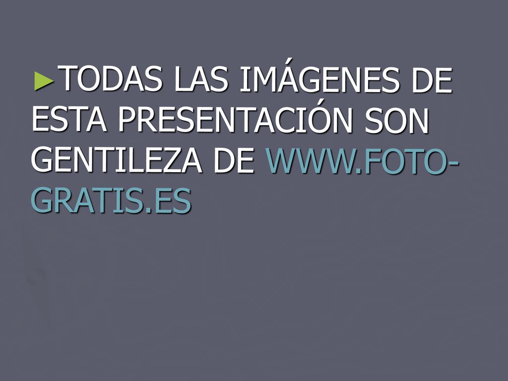 TODAS LAS IMÁGENES DE ESTA PRESENTACIÓN SON GENTILEZA DE WWW