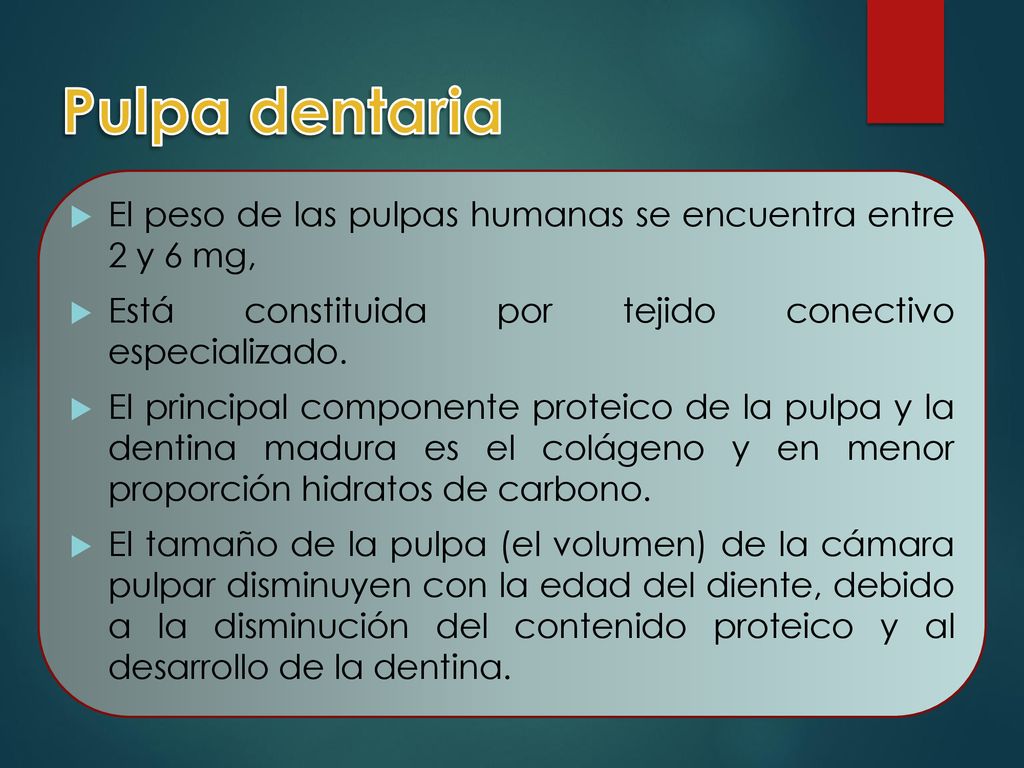 Pulpa dentaria El peso de las pulpas humanas se encuentra entre 2 y 6 mg, Está constituida por tejido conectivo especializado.