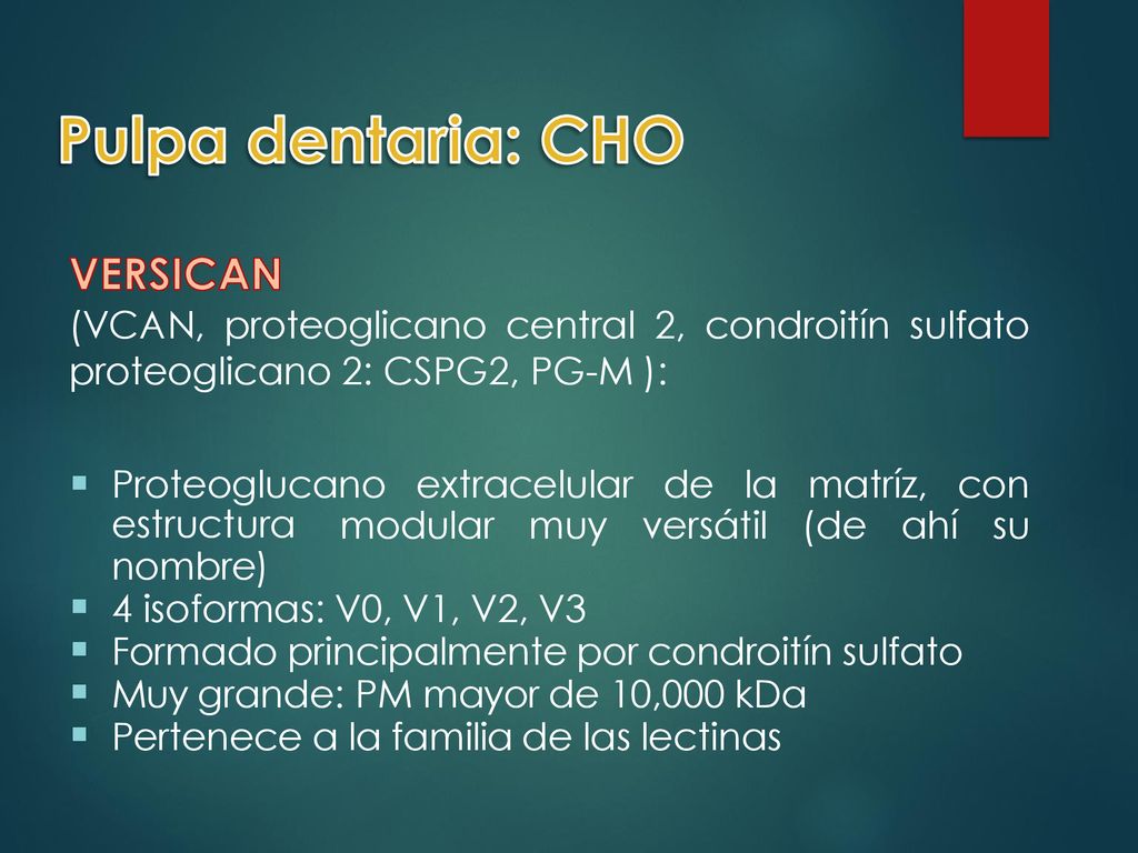 Pulpa dentaria: CHO VERSICAN. (VCAN, proteoglicano central 2, condroitín sulfato proteoglicano 2: CSPG2, PG-M ):
