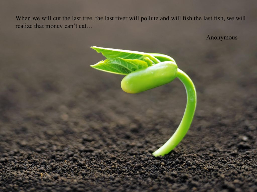 When we will cut the last tree, the last river will pollute and will fish the last fish, we will realize that money can’t eat…