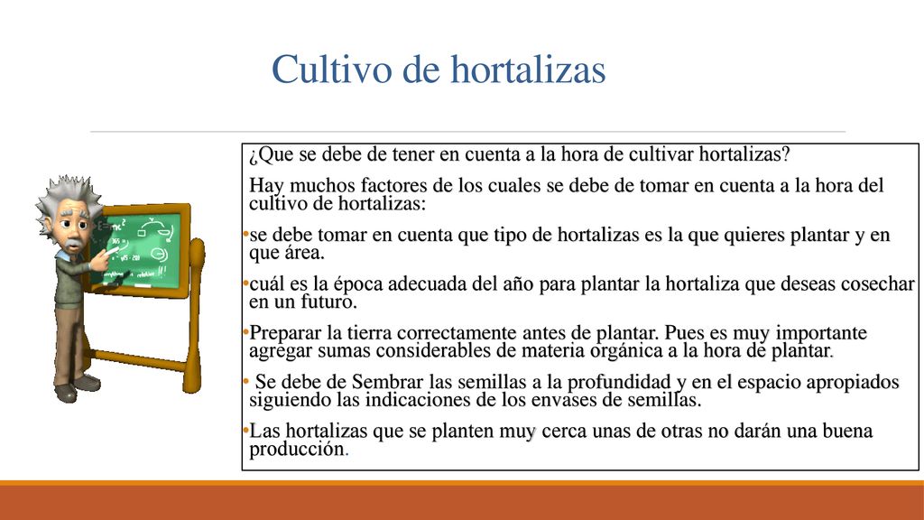 Cultivo de hortalizas ¿Que se debe de tener en cuenta a la hora de cultivar hortalizas