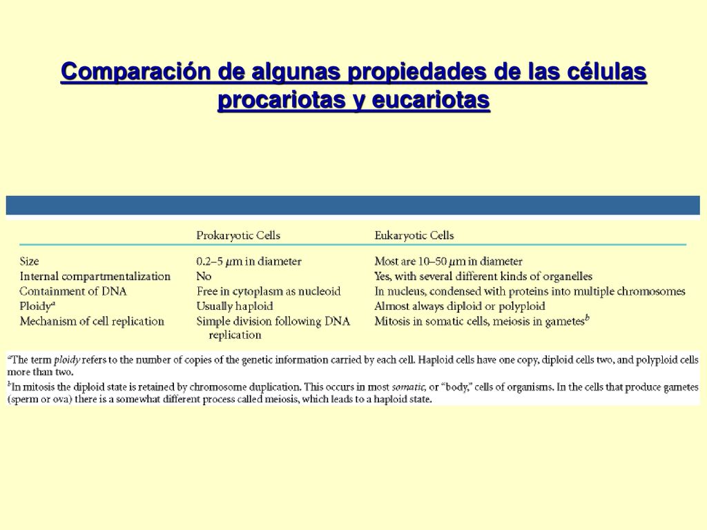 Comparación de algunas propiedades de las células procariotas y eucariotas