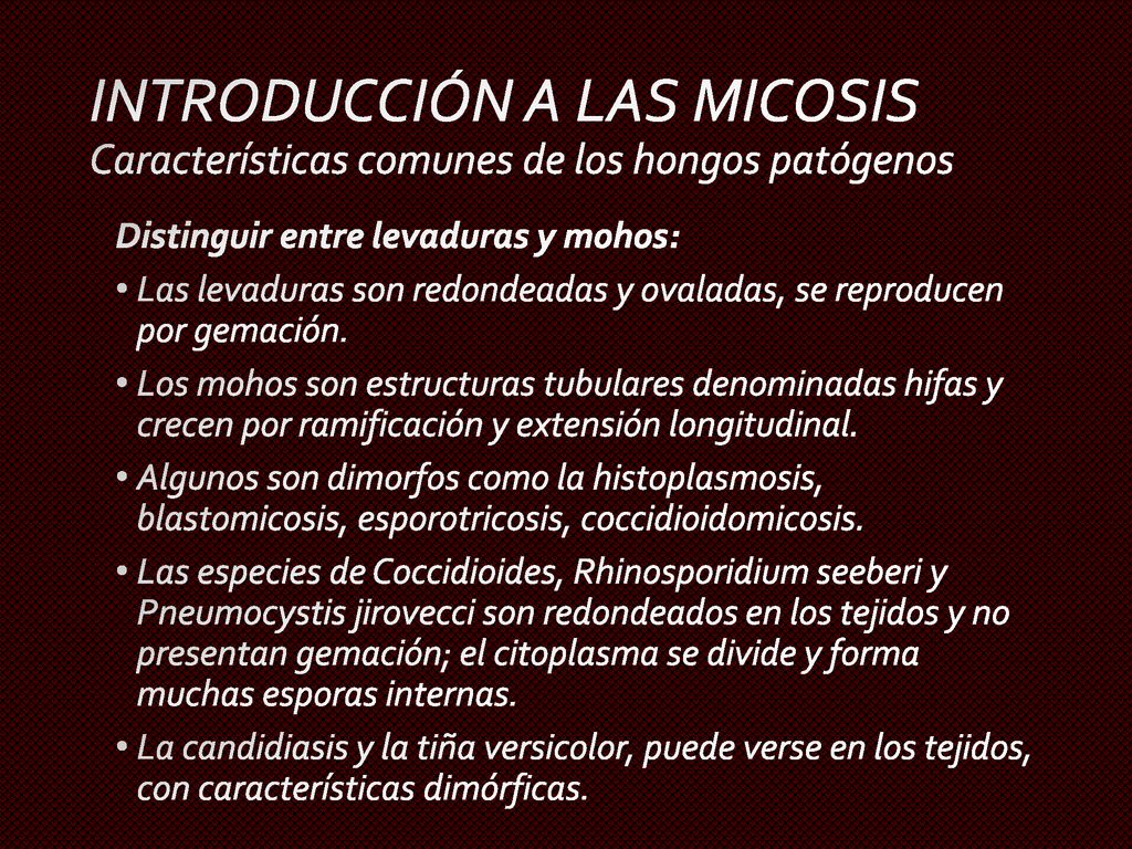INTRODUCCIÓN A LAS MICOSIS Características comunes de los hongos patógenos