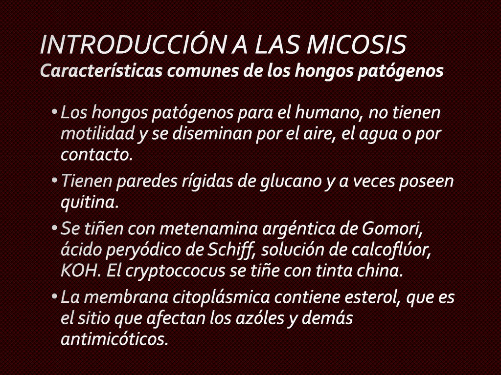 INTRODUCCIÓN A LAS MICOSIS Características comunes de los hongos patógenos