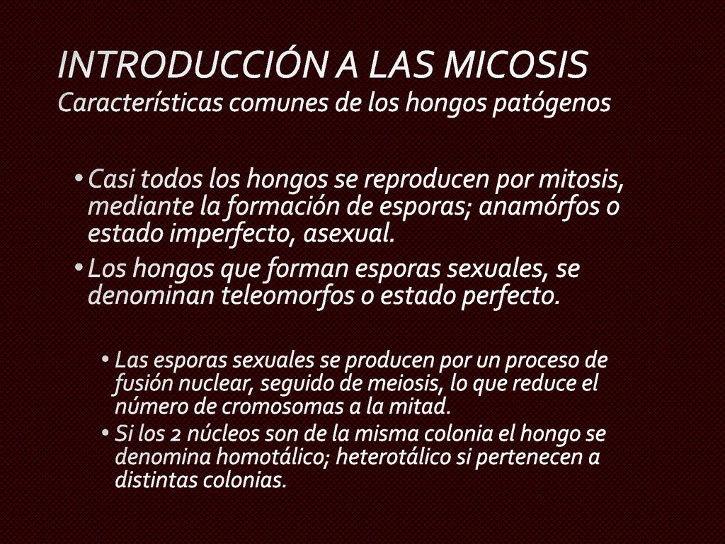INTRODUCCIÓN A LAS MICOSIS Características comunes de los hongos patógenos