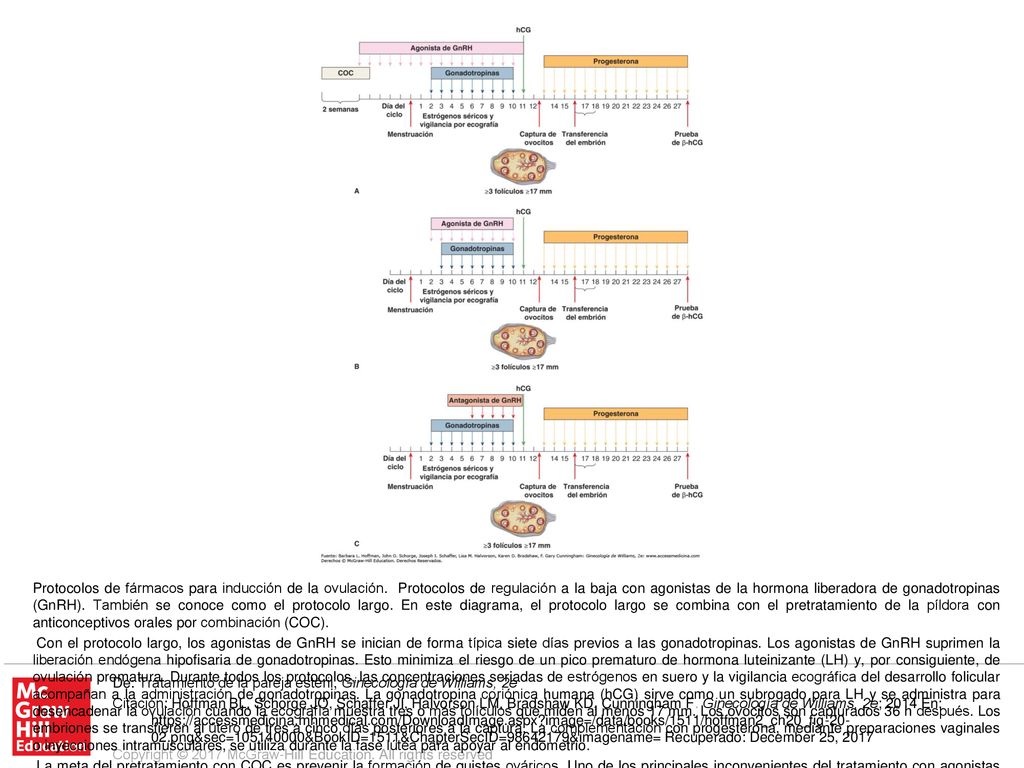Protocolo con antagonistas de GnRH