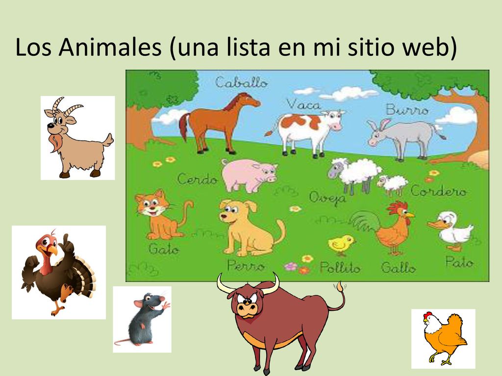 Los Animales (una lista en mi sitio web)