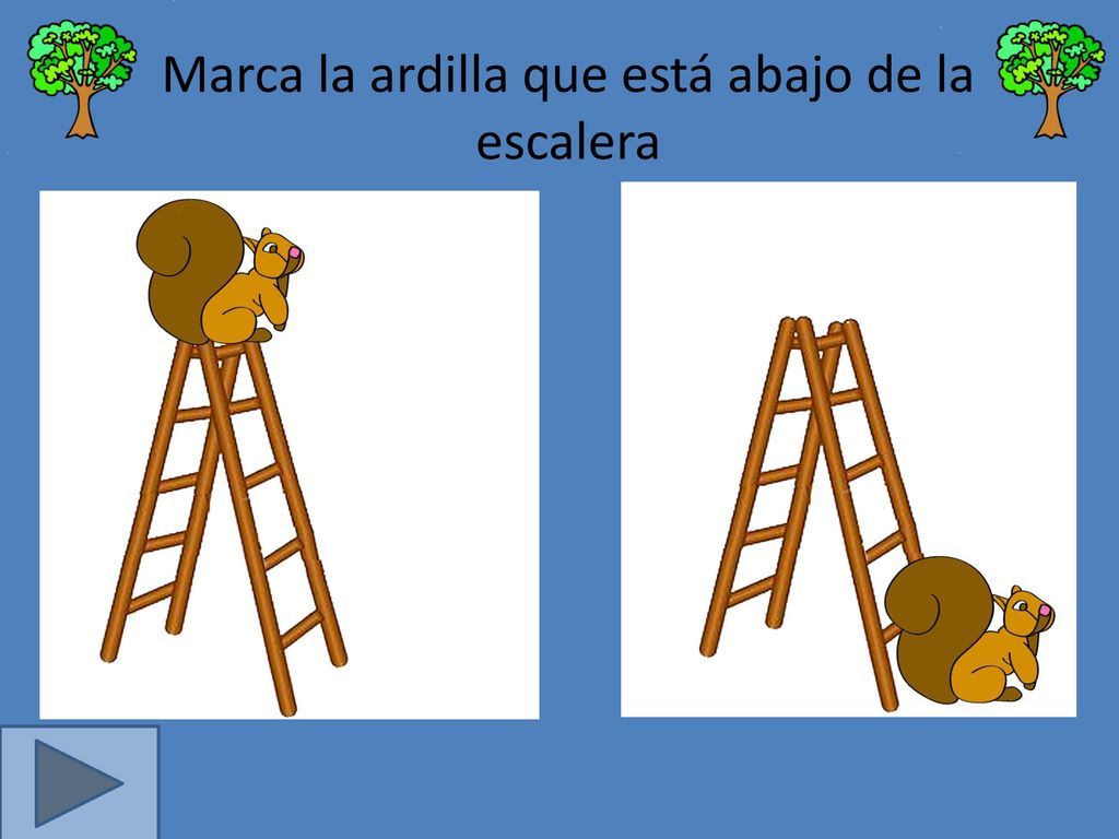 Marca la ardilla que está abajo de la escalera