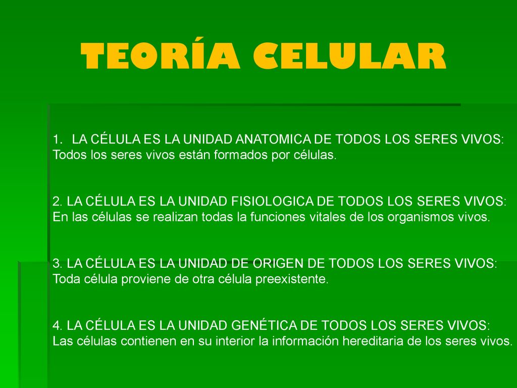 TEORÍA CELULAR LA CÉLULA ES LA UNIDAD ANATOMICA DE TODOS LOS SERES VIVOS: Todos los seres vivos están formados por células.