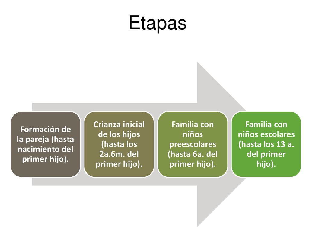 Etapas Formación de la pareja (hasta nacimiento del primer hijo).
