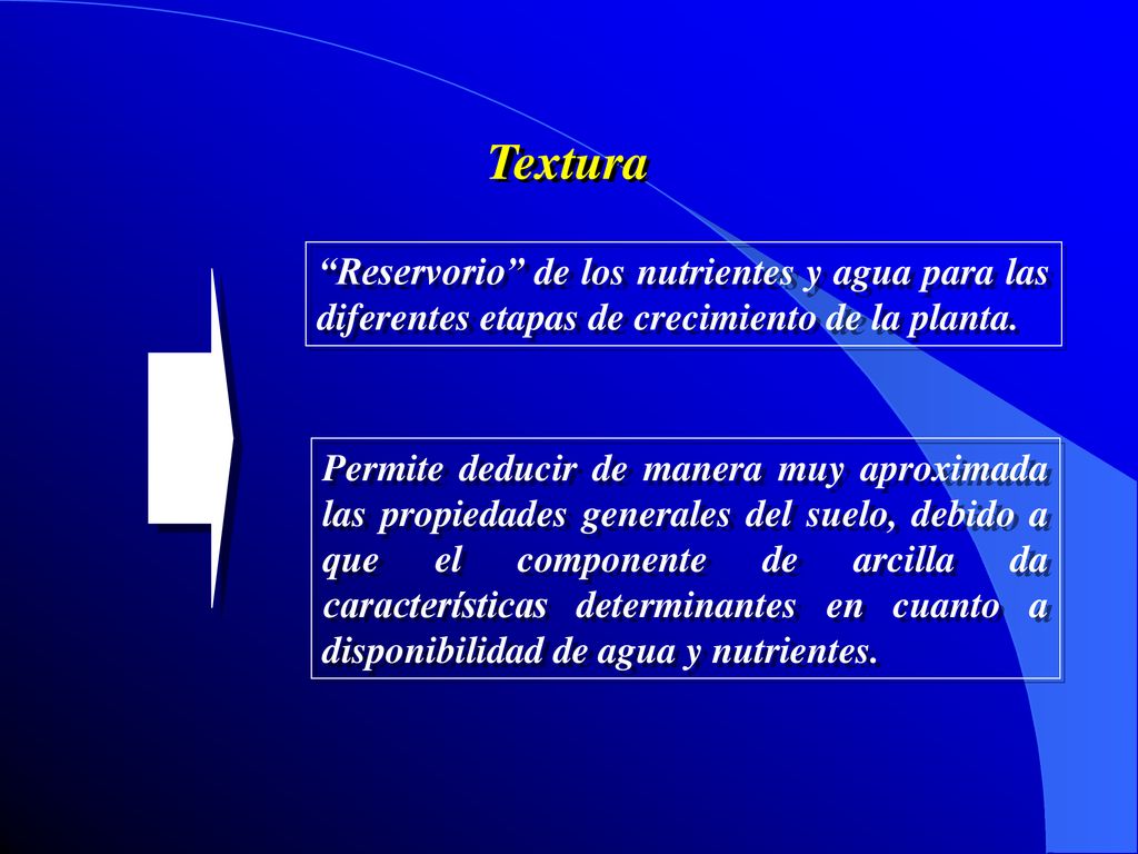 Textura Reservorio de los nutrientes y agua para las diferentes etapas de crecimiento de la planta.
