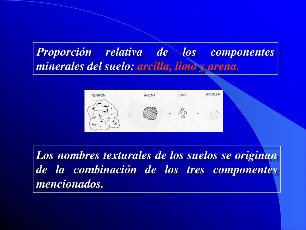 Proporción relativa de los componentes minerales del suelo: arcilla, limo y arena.