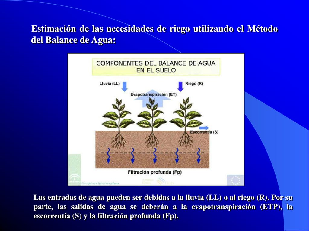 Estimación de las necesidades de riego utilizando el Método del Balance de Agua: