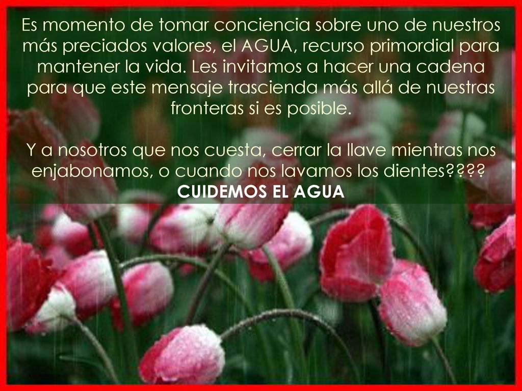 Es momento de tomar conciencia sobre uno de nuestros más preciados valores, el AGUA, recurso primordial para mantener la vida. Les invitamos a hacer una cadena para que este mensaje trascienda más allá de nuestras fronteras si es posible.