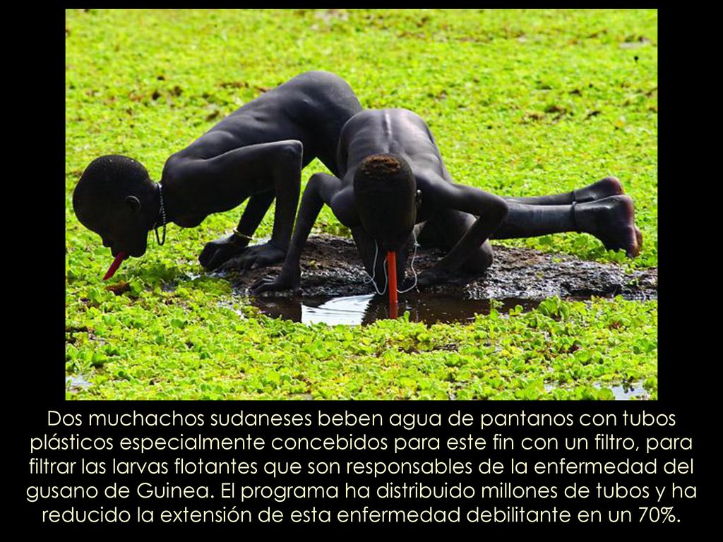 Dos muchachos sudaneses beben agua de pantanos con tubos plásticos especialmente concebidos para este fin con un filtro, para filtrar las larvas flotantes que son responsables de la enfermedad del gusano de Guinea.