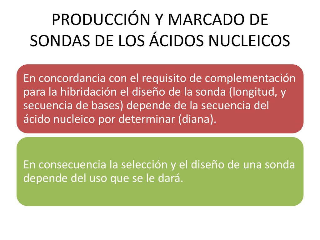 PRODUCCIÓN Y MARCADO DE SONDAS DE LOS ÁCIDOS NUCLEICOS
