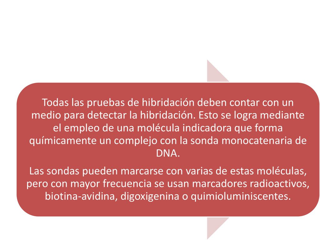 Todas las pruebas de hibridación deben contar con un medio para detectar la hibridación. Esto se logra mediante el empleo de una molécula indicadora que forma químicamente un complejo con la sonda monocatenaria de DNA.