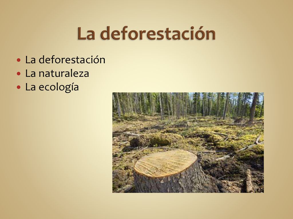 La deforestación La deforestación La naturaleza La ecología