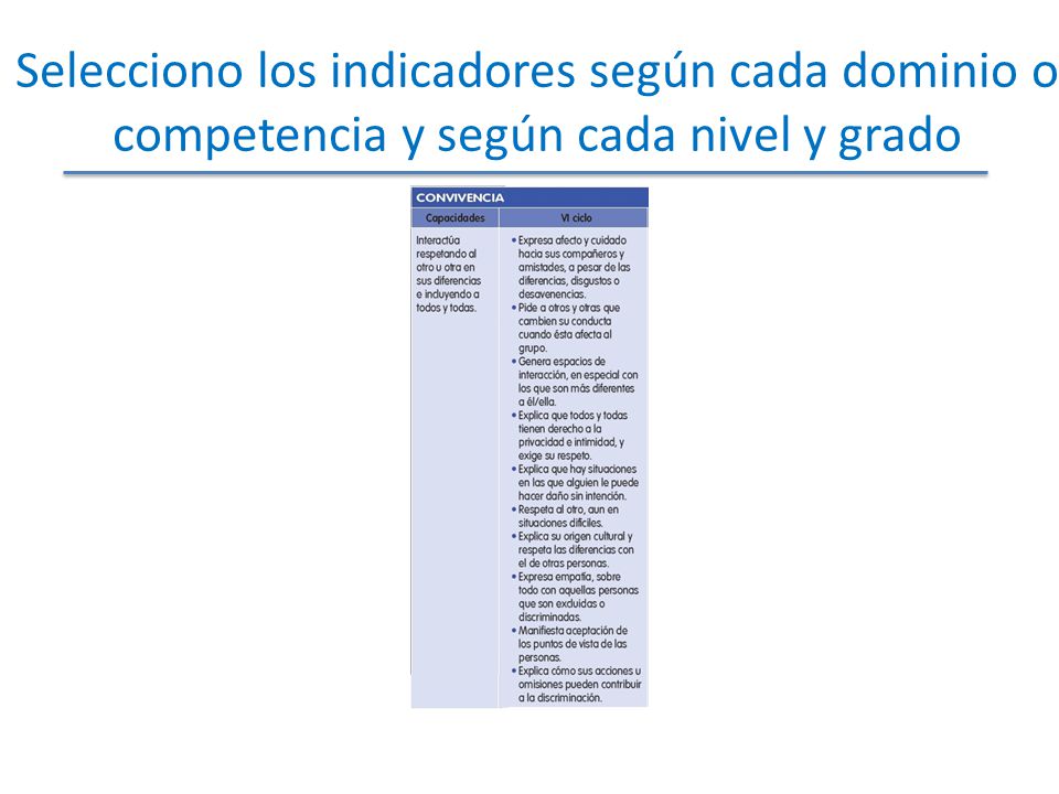 Selecciono los indicadores según cada dominio o competencia y según cada nivel y grado