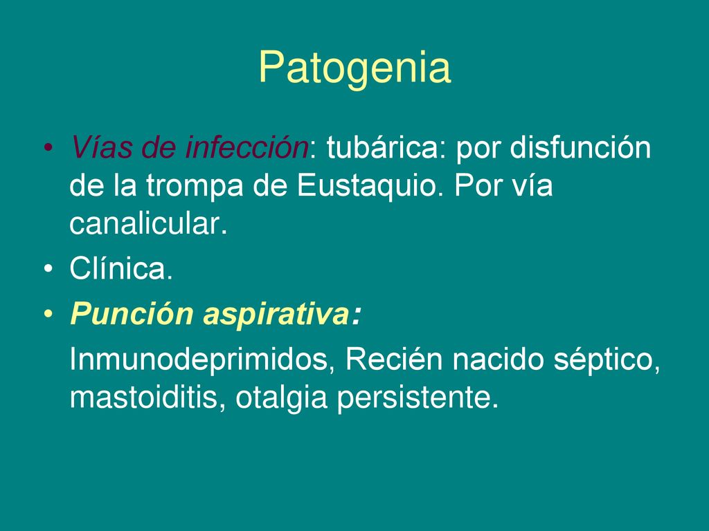 Patogenia Vías de infección: tubárica: por disfunción de la trompa de Eustaquio. Por vía canalicular.