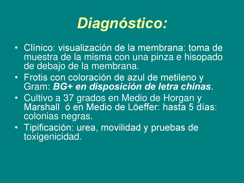 Diagnóstico: Clínico: visualización de la membrana: toma de muestra de la misma con una pinza e hisopado de debajo de la membrana.
