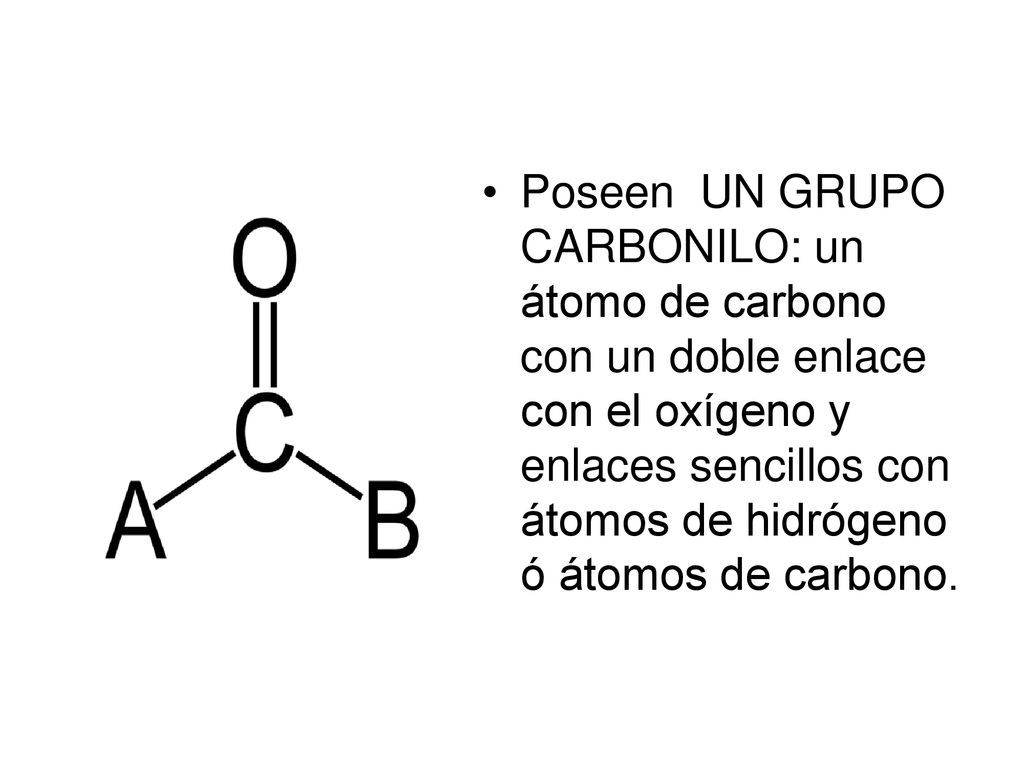 Poseen UN GRUPO CARBONILO: un átomo de carbono con un doble enlace con el oxígeno y enlaces sencillos con átomos de hidrógeno ó átomos de carbono.