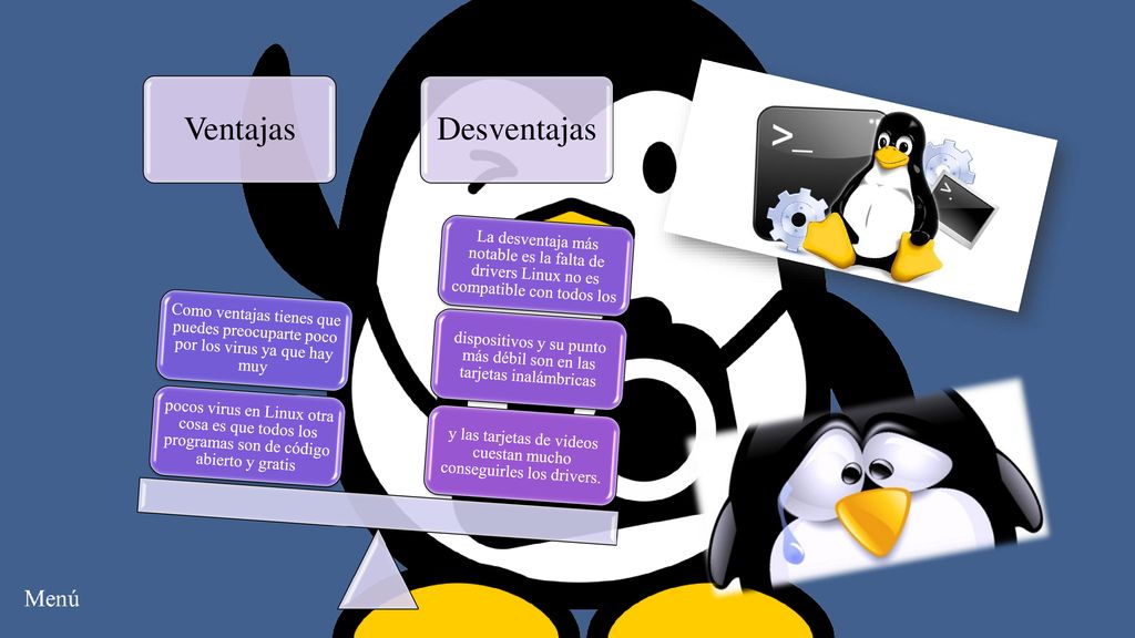Ventajas Desventajas. y las tarjetas de videos cuestan mucho conseguirles los drivers.