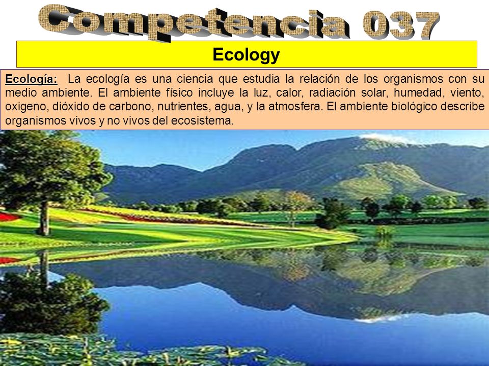 Competencia 037 Ecology.
